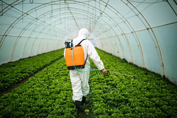 Best Pest Control Near Me  in Keeseville, NY