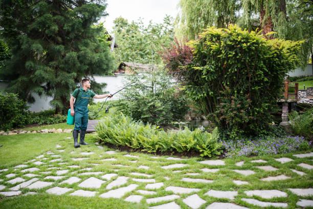Reliable Keeseville, NY Pest Control Solutions