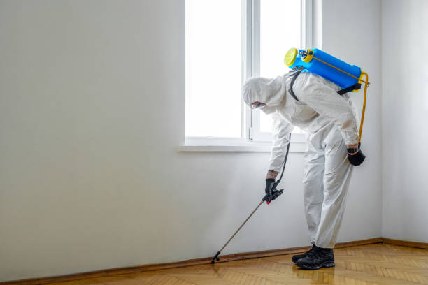 Professional Pest Control in Keeseville, NY