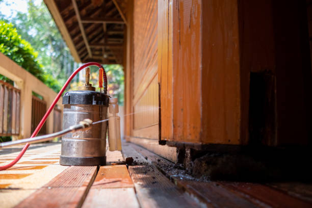 Best Affordable Pest Control Services  in Keeseville, NY