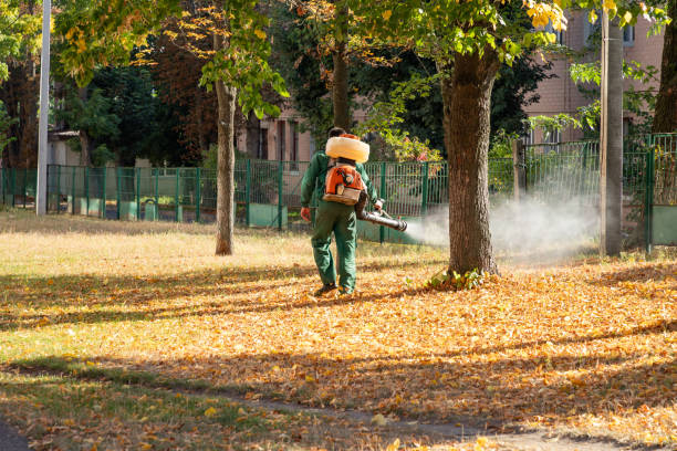 Best Wildlife Control Services  in Keeseville, NY