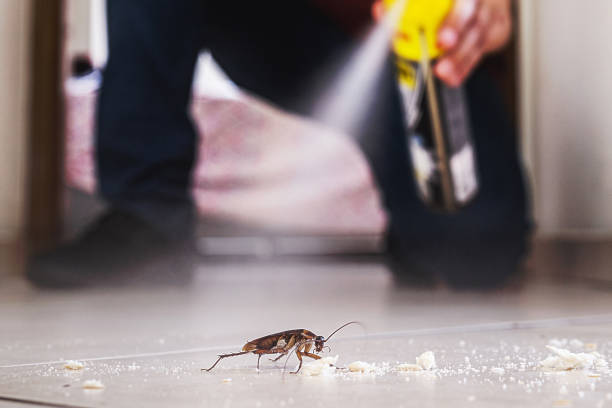 Pest Control for Restaurants in Keeseville, NY