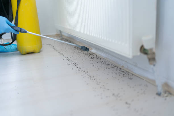 Best Commercial Pest Control Services  in Keeseville, NY