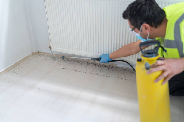 Best Local Pest Control Services  in Keeseville, NY